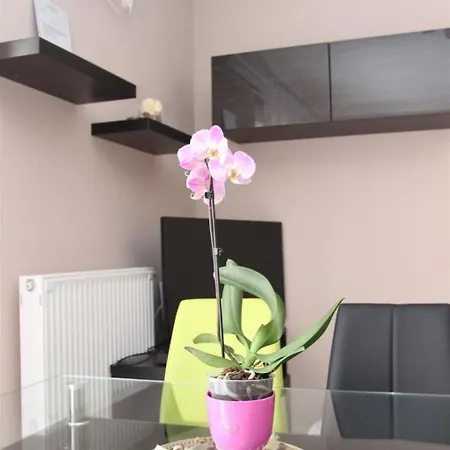 Dorina Wellness In By Interhome * شيوفوك